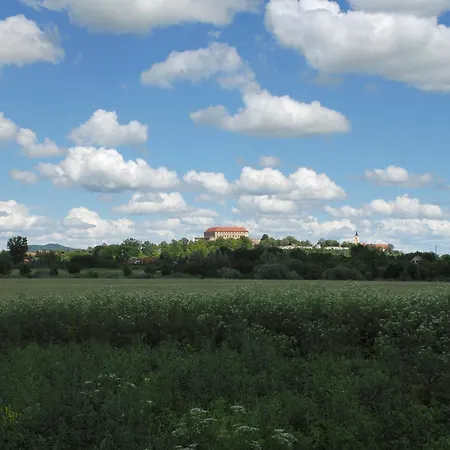 Отель Ametiszt 3*