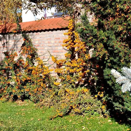 Ametiszt Harkány
