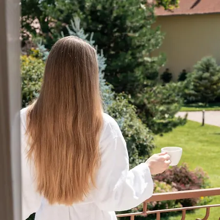 Отель Ametiszt