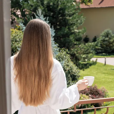 Ametiszt Harkan