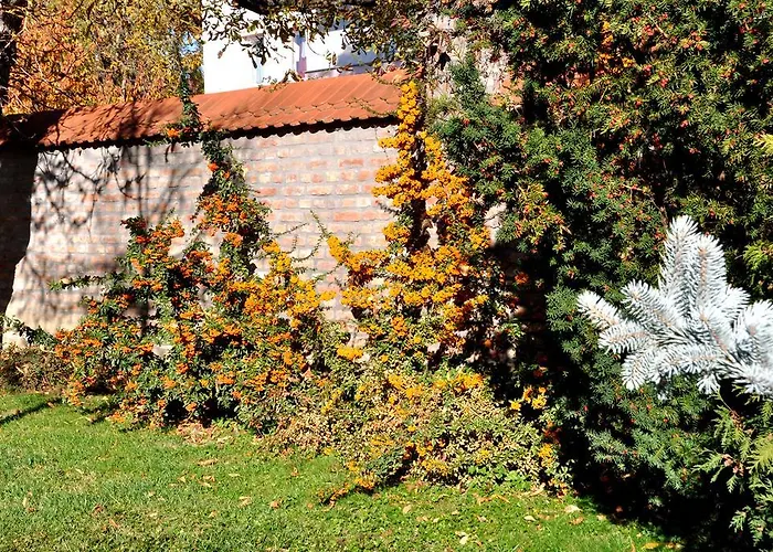 Ametiszt Harkány