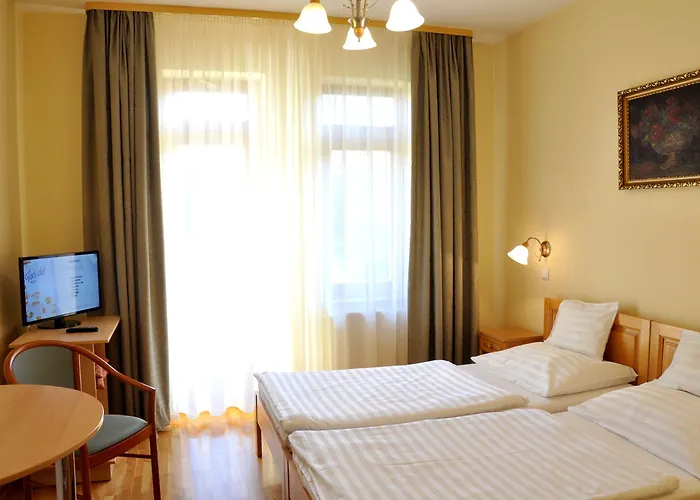 Ametiszt Hotel Harkány